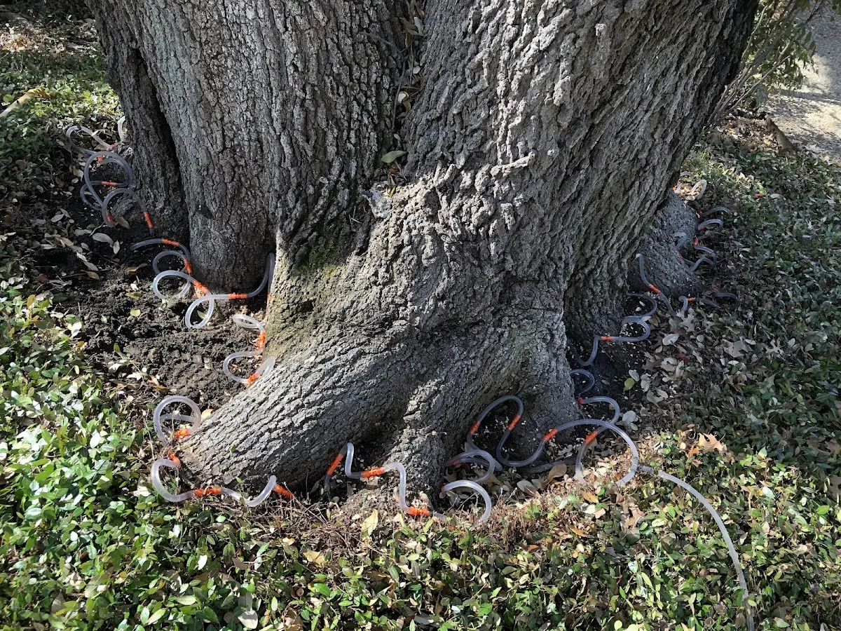 Detailed Shrub and Hedge Trimming job site in Oak Hill